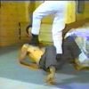 Velvet Kick 278